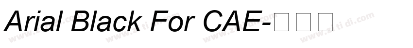Arial Black For CAE字体转换